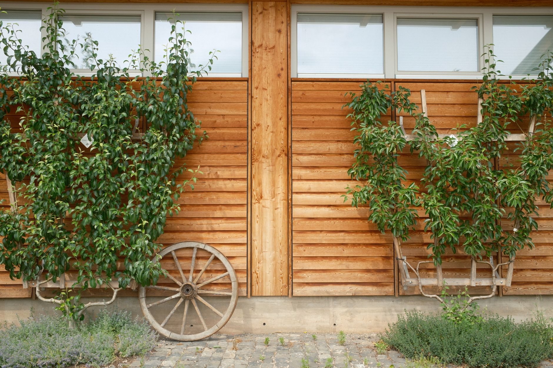 Gartenhaus mit Schiebetüren: Platz und Nutzung gut planen